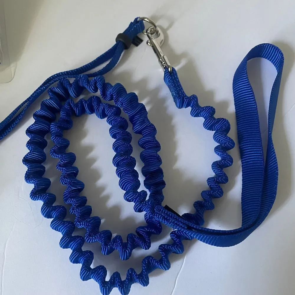 Premier Come‎ With Me Kitty Cat Harness & Bungee Leash Medium Blue Outdoor Walk